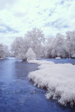 Infrared-Shoal-Lowwaterrasses-Koral-Martin_owtnrg-1.jpg